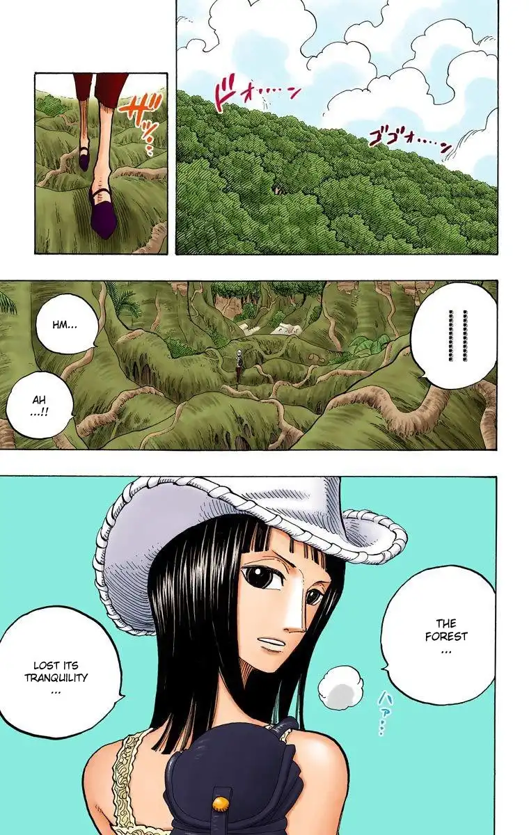 One Piece - Digital Colored Comics Chapter 258 8